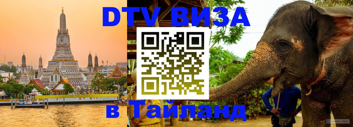 Оформление DTV визы под ключ: стоимость и тарифы, только загранпаспорт - 04.10.2025 